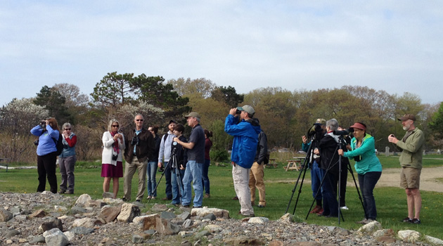 The Music Hall goes outdoors to bird watch with writer David Allen Sibley
