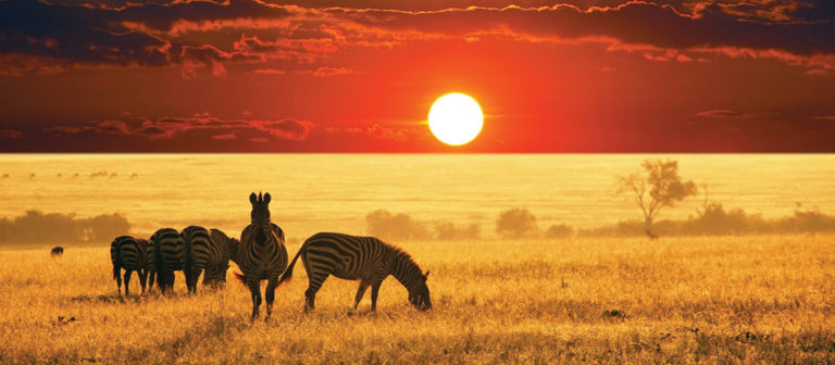 Check Items Off Your Holiday Shopping List with the Auction